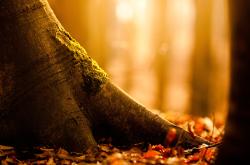 HTH Sports-从非洲雄鹰到奥运曙光，凯恩在关键战接管比赛，尼日利亚翻盘埃及的战术启示