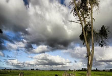 华体会首选平台-瑞士队客场战胜土耳其国家队，取得胜利晋级
