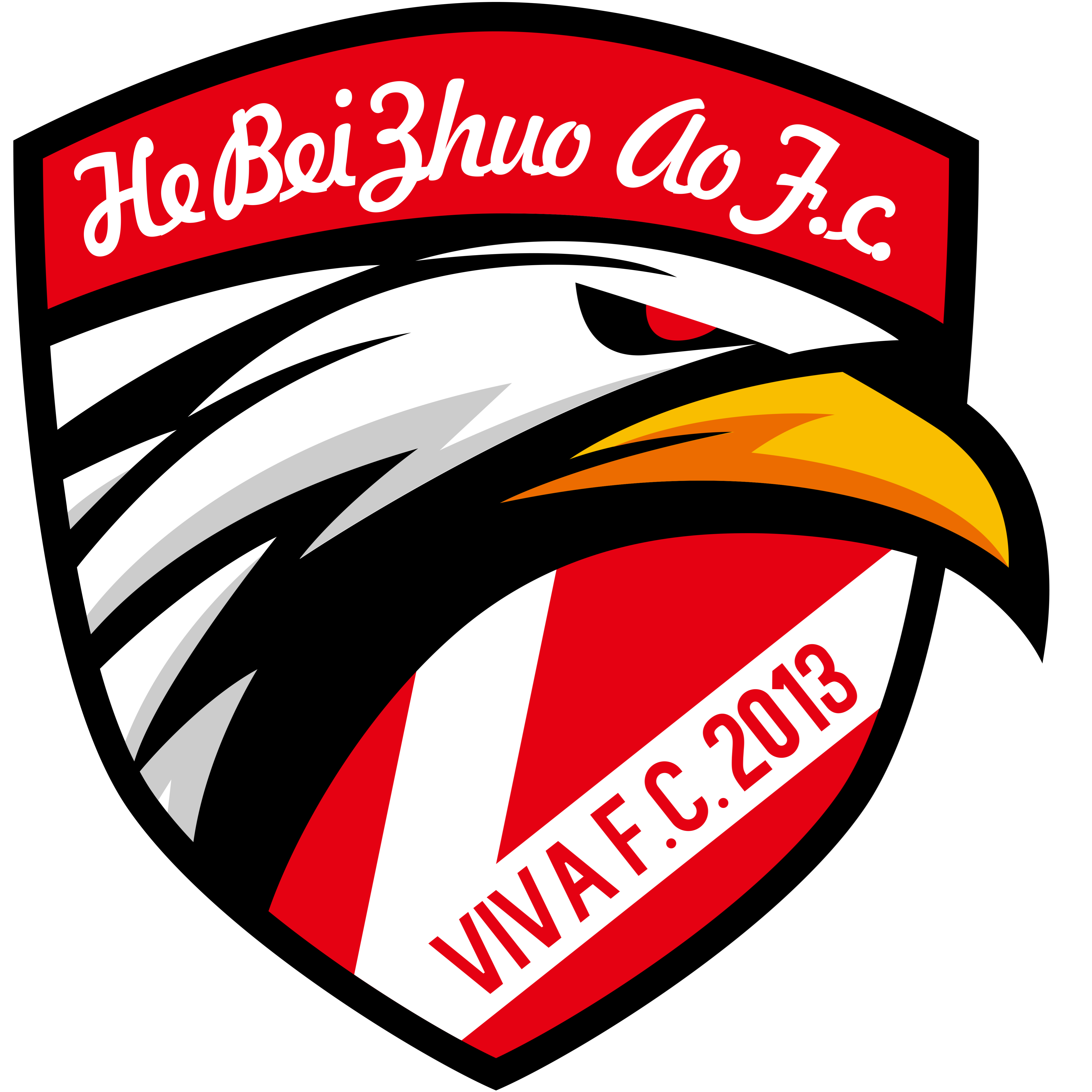 中国足球协会宣布启动全国青少年足球俱乐部联赛 中国足球协会宣布启动全国青少年足球俱乐部联赛