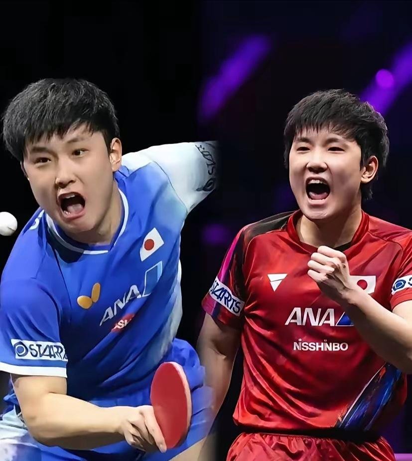 关于韩国队翻盘葡萄牙队，张本智和关键制胜的信息